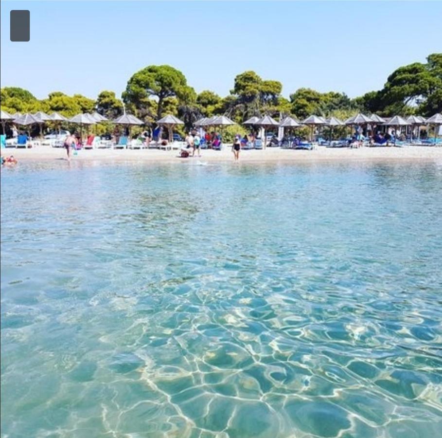 Athens Villa Artemis Pool Sea Airport Ngoại thất bức ảnh
