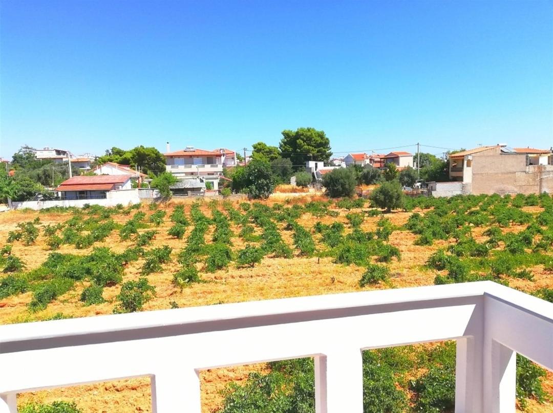 Athens Villa Artemis Pool Sea Airport Ngoại thất bức ảnh